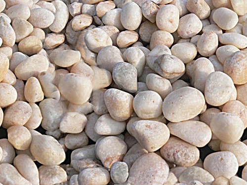 午夜麻豆视频种类